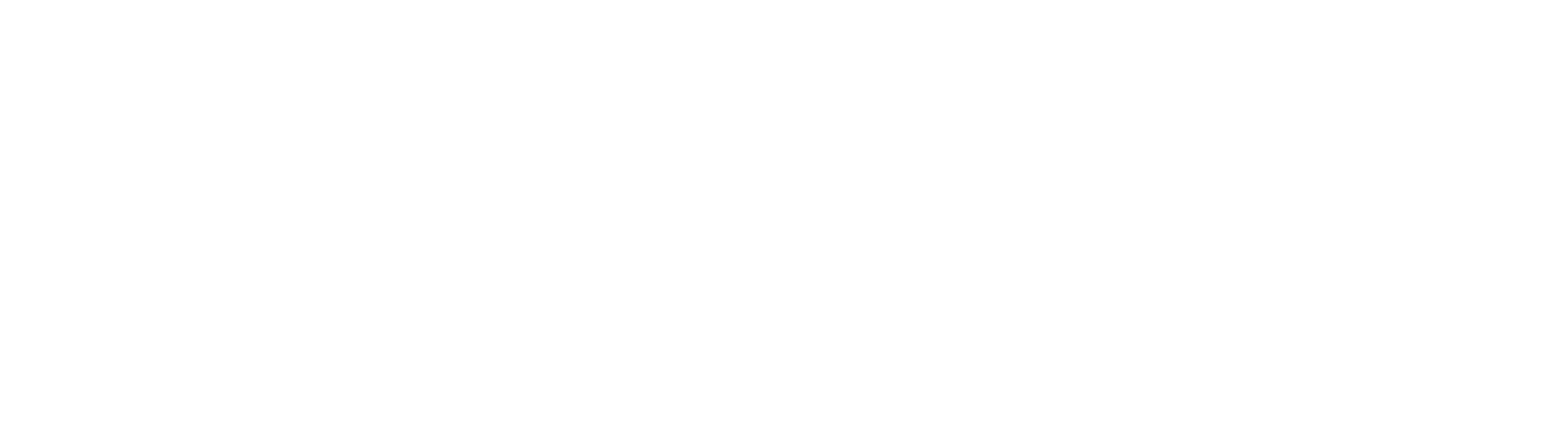 Logo + ícono – blanco